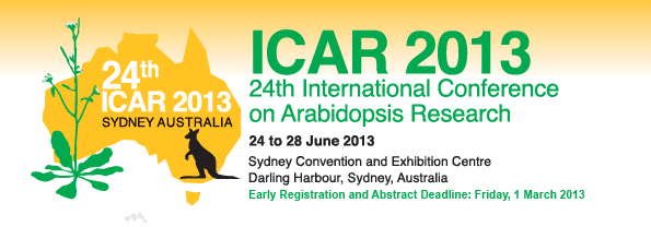 ICAR2013 Logo